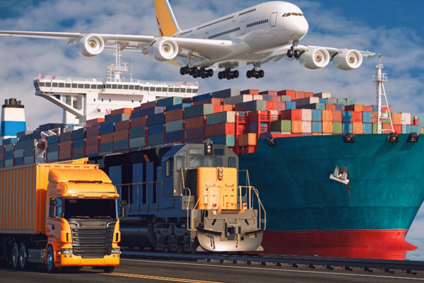 THAKO asparagus export packaging